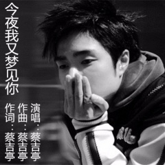 今夜我又梦见你