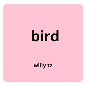 bird (Instrumental Version)