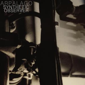 Synthetic Observer