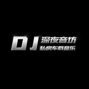 2022抖音DJ伤感弹跳串烧（阿清 remix）