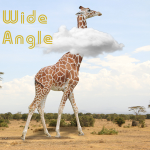 Home Of Sense (Instrumental)