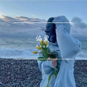 花梢间蜂鸟的温柔锋芒