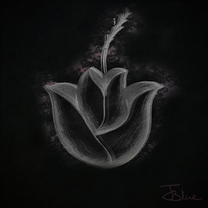 Spinn