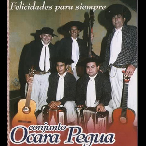 Sapucay chamamecero (En Vivo)