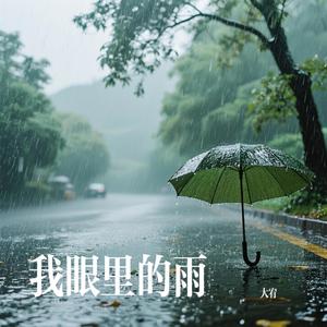 我眼里的雨