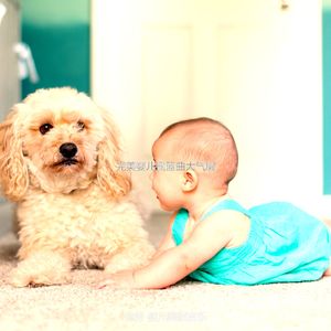 精彩婴儿睡眠环境