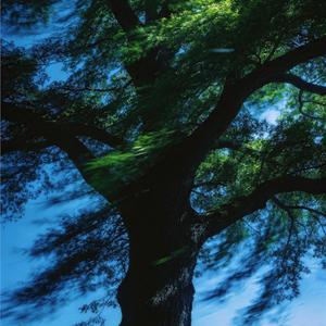 Love Me Harder&We don't Talk Anymore