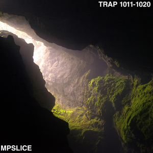 TRAP ONE THOUSAND N THIRTEEN