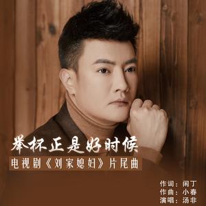 举杯正是好时候（电视剧《刘家媳妇》片尾曲）