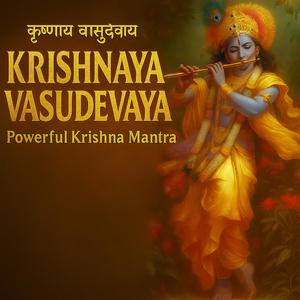 Om Krishnaya Vasudevaya Haraye Paramatame | The Mantra Path