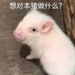 秋(prod.by Morrow x 494in)