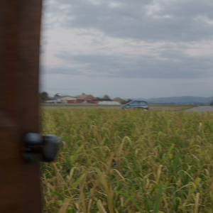 Ai resonance (slowed)