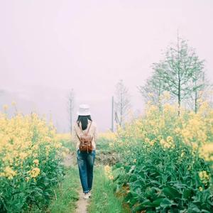 夜莺-Nightingale雅尼 Yanni mix