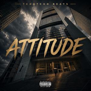 Attitude