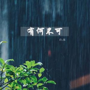 有何不可（原唱：许嵩）