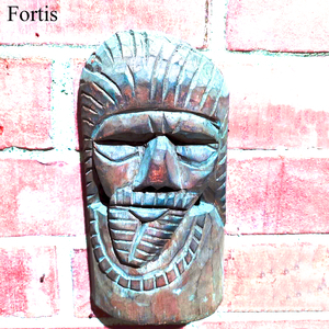 Fortis