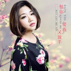 恨你爱我又放手 (DJ何鹏版)