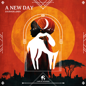 Have a Skyrocketing Rise