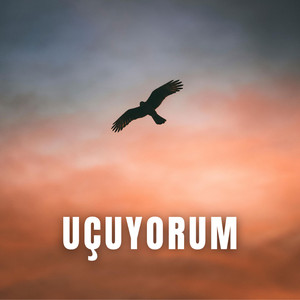 Uçuyorum