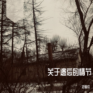 关于遗忘的情节