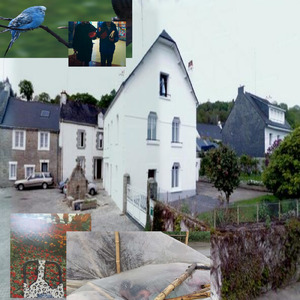 テント買おうと思った