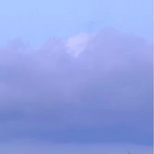 你（抖音吉他版）