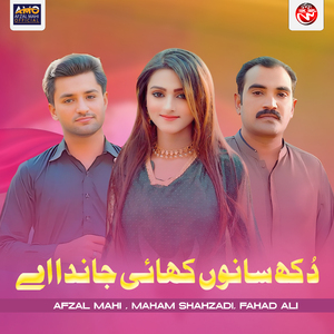 Dukh Sanu Khai Janda Ay