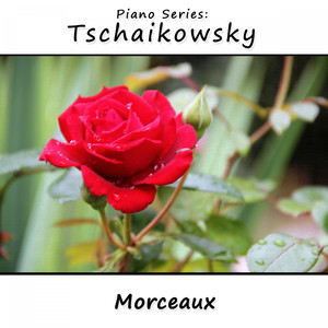 12 Morceaux, Opus 40, No. 3 Marche Funebre