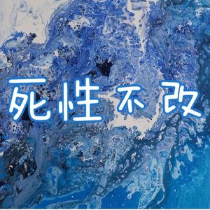 死性不改（Cover Twins）