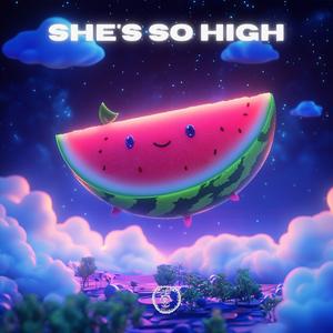 She's so High (Techno Version)