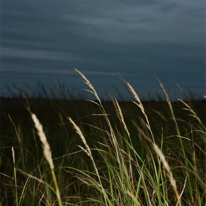 a summer to remember