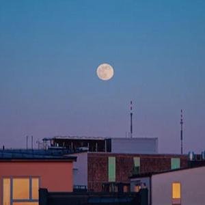 【Free】“蓝色傍晚”(Emo/Rock/Indie Type Beat)