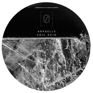 Bolo Reprize (Original Mix)