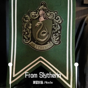 From Slytherin（prod.by FAT TIGER）