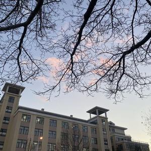 《水蜜桃陷阱》