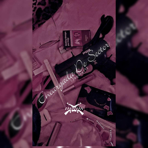 ENCARGADA DE SECTOR (Jaquee) V2