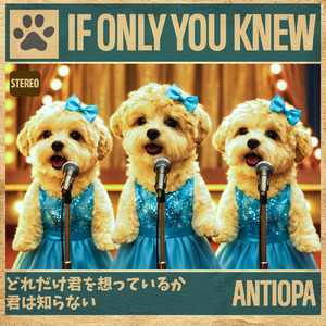 どれだけ君を想っているか 君は知らない (STEREO)
