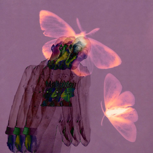 Tu Tanta Falta de Querer (Recording Sessions)