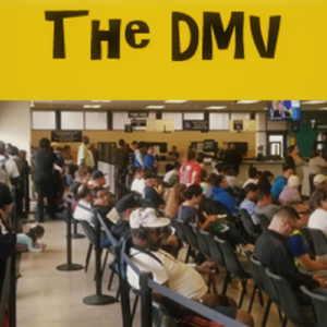 The DMV