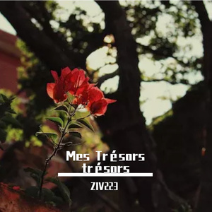 Mes Trésors trésors
