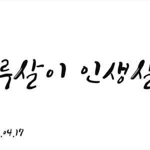 하루살이 인생살이