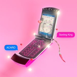 Sexting King