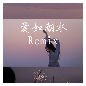 前男友-爱如潮水（李晓贵 remix）