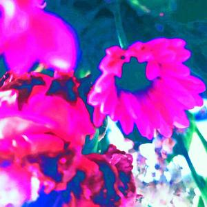 Chloe库洛伊-虹（EXCILLEX REMIX）