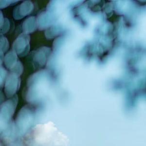 飞翔在乌云之中