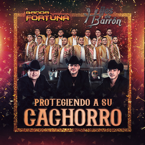 Protegiendo A Su Cachorro