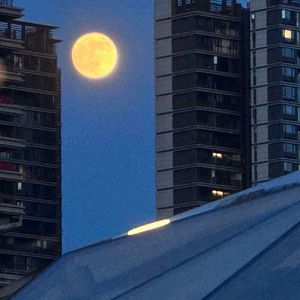 王座上的火药[rebalanced]