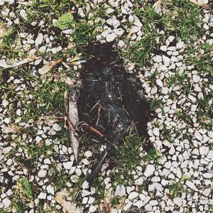 Hold on, brb (interlude) (feat. CooB)