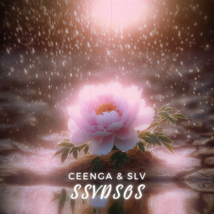 Ssvdsos