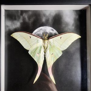 绿光（Titan remix）